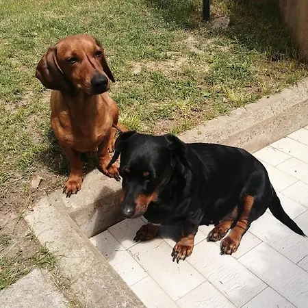 Luis&susy Home, * Cagliari